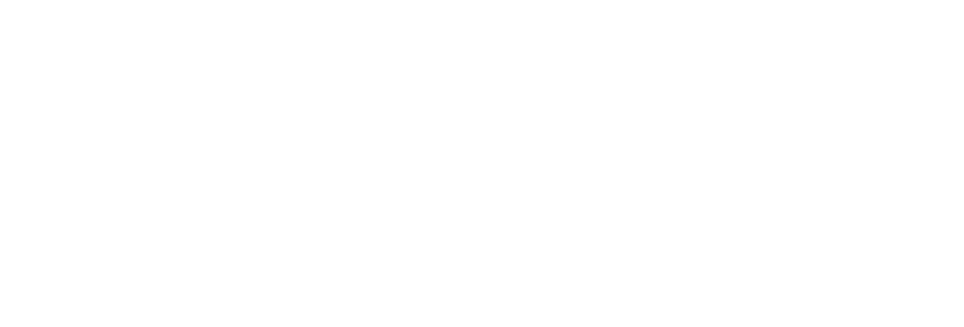 Logo Bundesministerium Frauen, Wissenschaft und Forschung