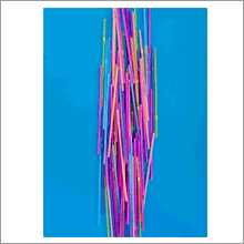 Julia ROHN, Annelies SENFTER, 2016 