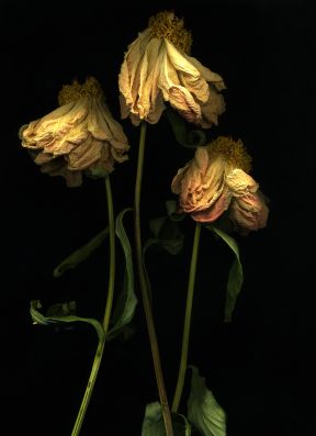 Ausstellung Michaela Bruckmüller